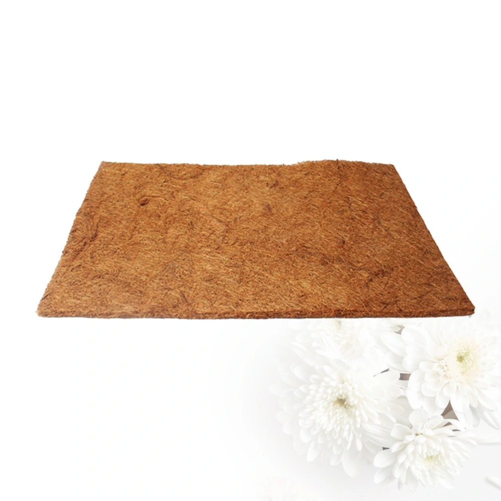 2 Pcs Natural Coconut Fiber Mat Wear-resistant Cushion Reptile Pet Breathable Bedding Liner (50x30cm)