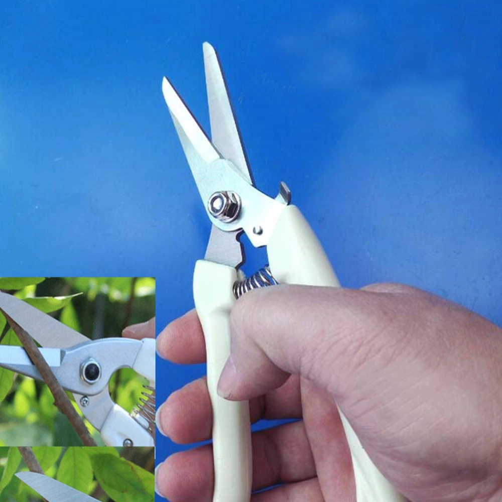 2pcs Practical Gardening Pruning Shears Orchard Trimming Scissors Gardening Tool