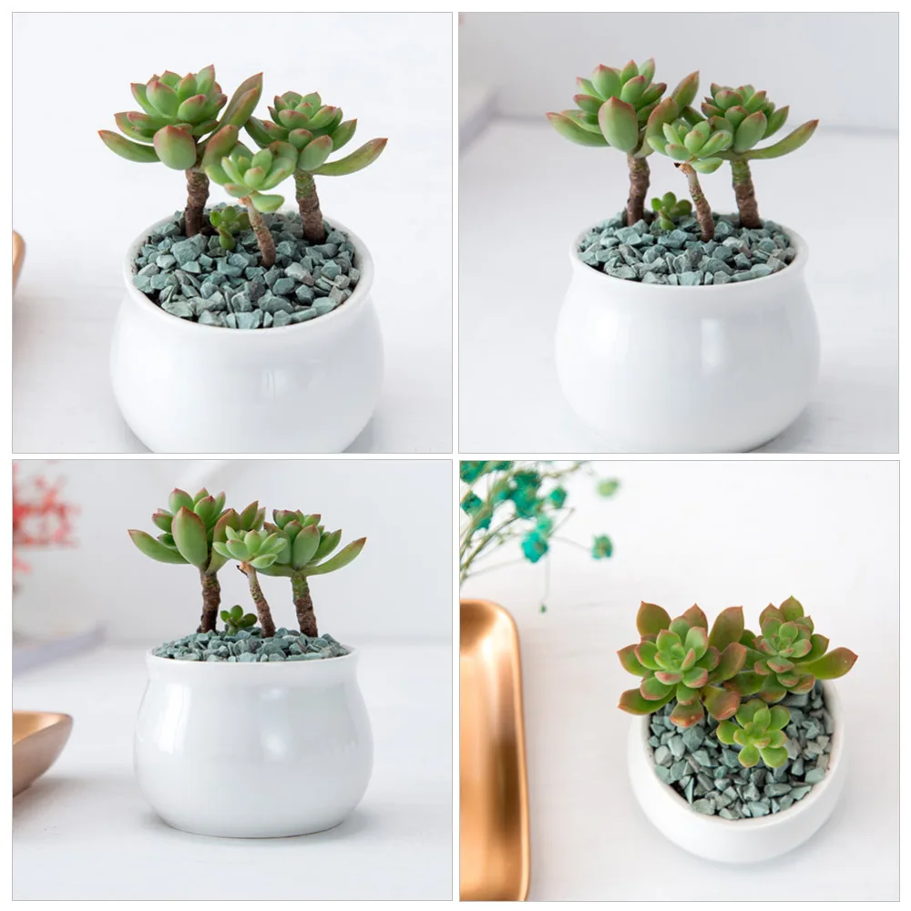 3pcs Small Round Ceramic Flowerpot Mini Simple Flower Jar Modern Plant Pot