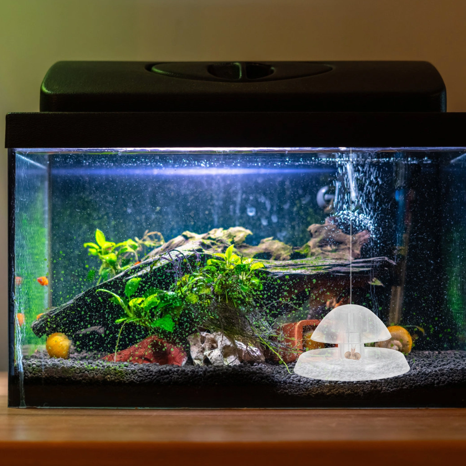 2Pcs Aquarium Fish Plant Tank Plastic Snail Trap Aquarium Fish Tank Snail Catcher Size L White