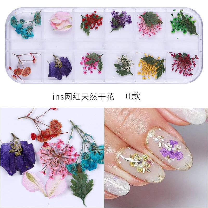 2 Boxes Dried Flowers Nail Art Dry Flowers Nails Art Supplies Small Tiny Dried Flowers