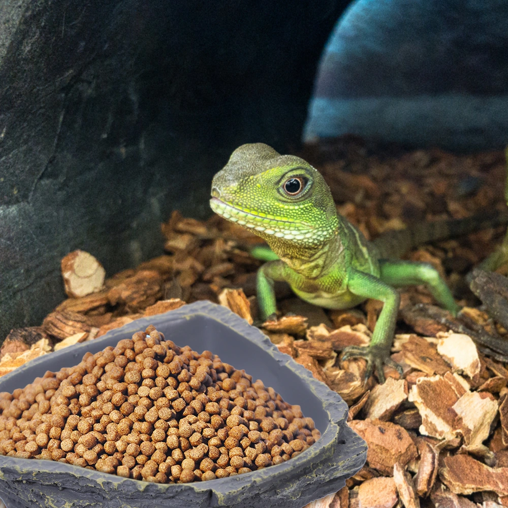 1Pc Reptile Feeding Bowl Durable Resin Feeding Plate Shape Food Water Feeding Dish for Lizard Gecko Tortoise (Dark Grey)