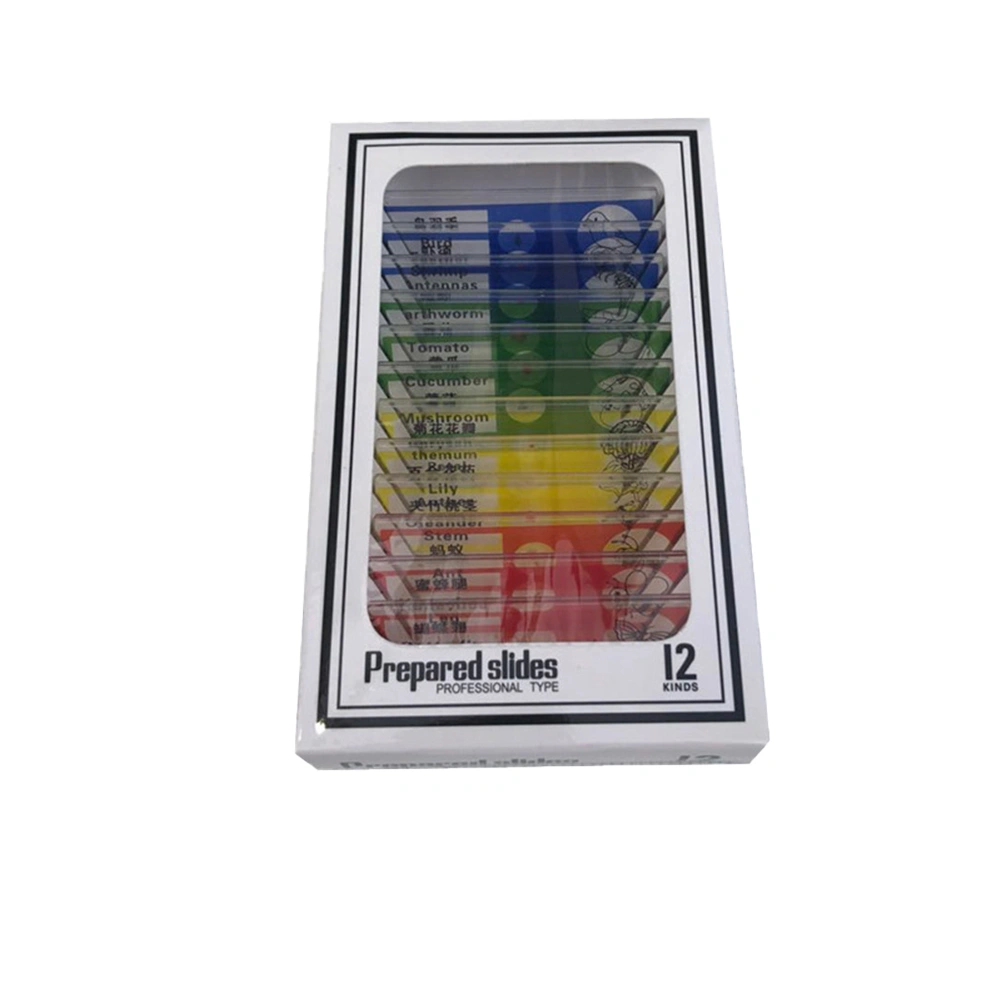 12PCS Microscopic Specimens Slide Eco-friendly Safe Teaching Supplies for Stereo Kids Science Educational (Random Color)
