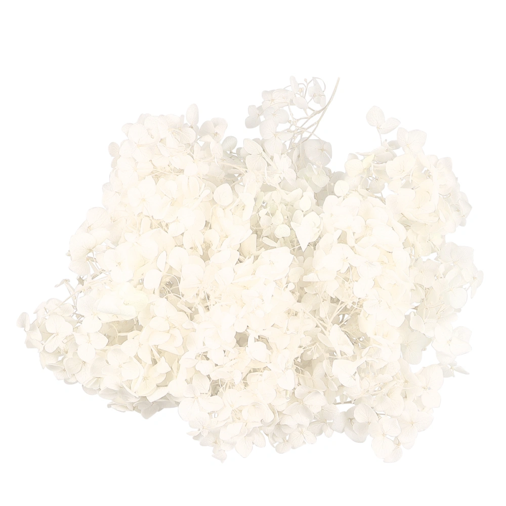 1 Pack of 20g Natural Fresh Preserved Flowers Eternal Dried Hydrangea Petals DIY Ornaments (White)