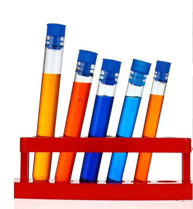 6Pcs Clear Plastic Test Tubes Liquids Container Tubes with 6 Holes Tube Rack for Scientific Experiment