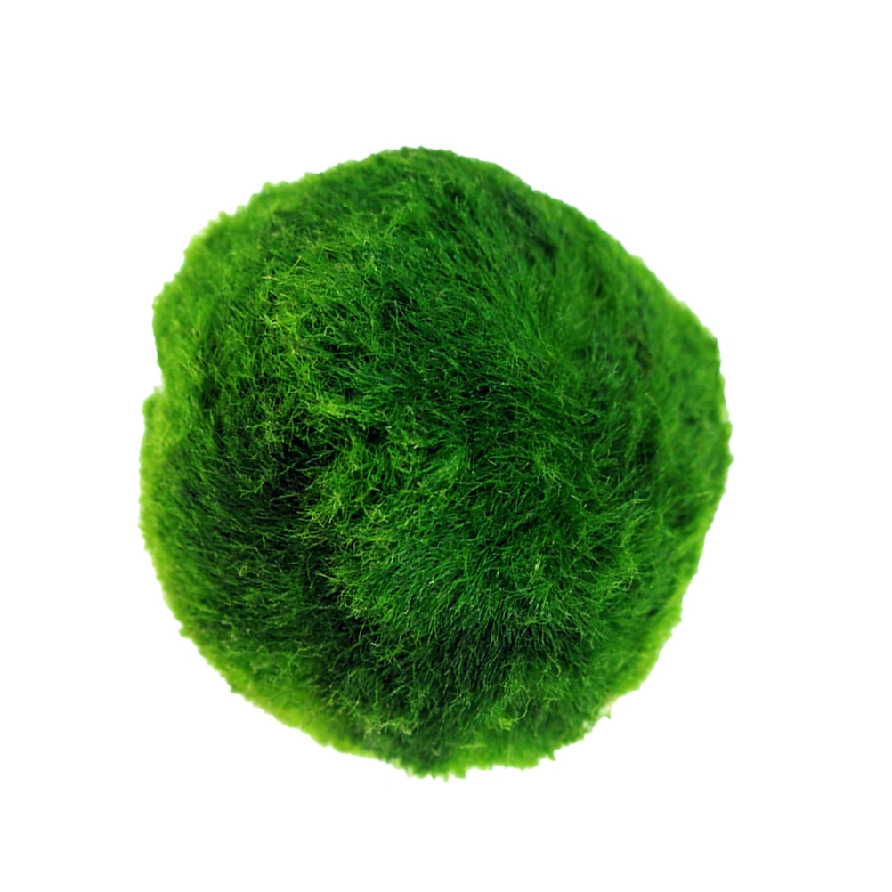 3-4cm Real Aquatic Plants Live Fish Tank Green Aquarium Landscape Marimo Moss Ball Decoration