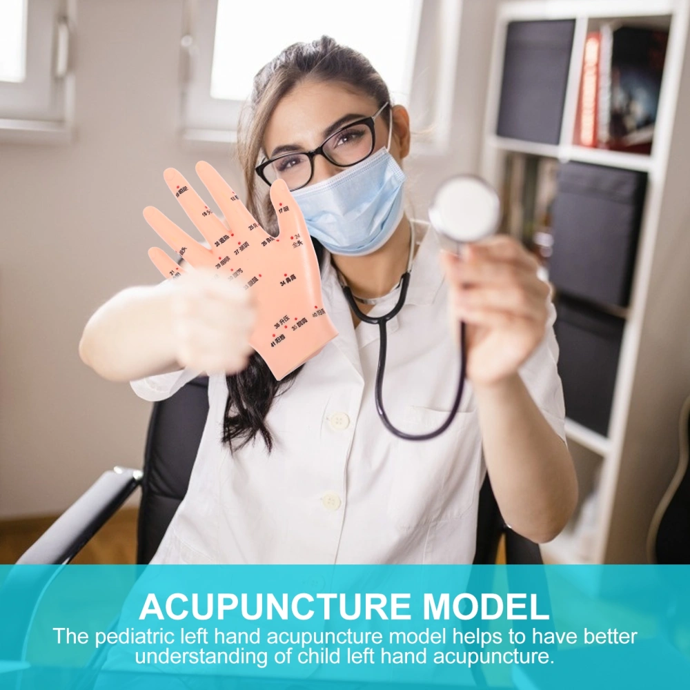 Pediatric Left Hand Acupuncture Model Teaching Hand Acupuncture Acupoint Model