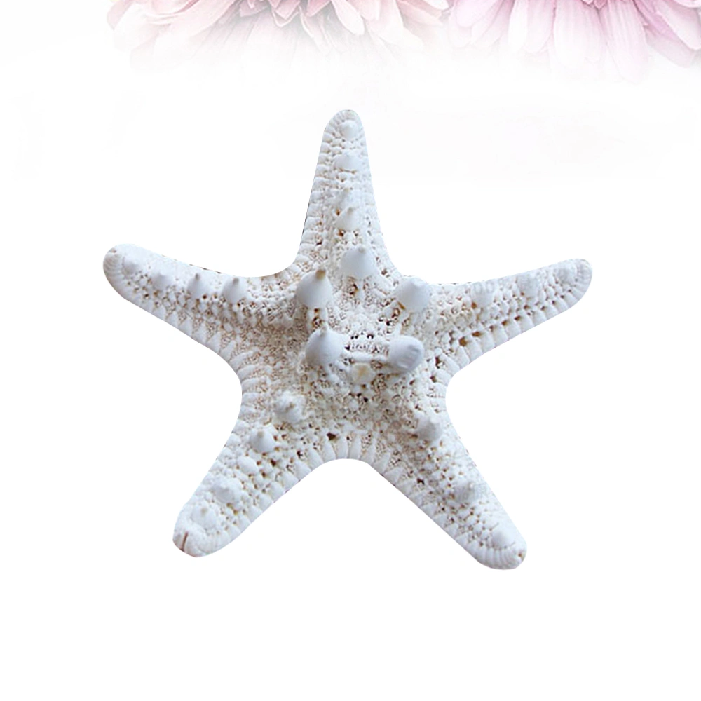 2Pcs Natural Sea Star Ornaments Ocean Themed Adornments Photo Props Party Setting Decors for Home Shop