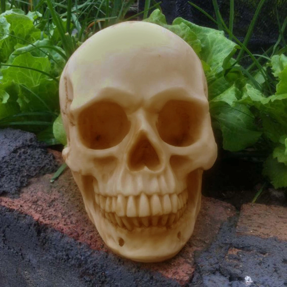 Bucky Skeleton Human Skull Life-Size Halloween Props