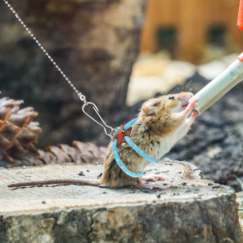 Hamster Leash Harness Small Pet Leash Outdoor Rabbit Leash Anti-bite Squirrel Harness Leash