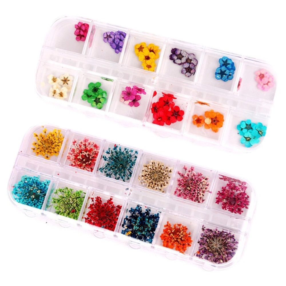 2 Box of 12 Color Real Dried Flower Case Nail Art Tips Decoration Design Flower Three-dimensional Applique 3D Nail Stickers Nail Supplies (96 Flowers)