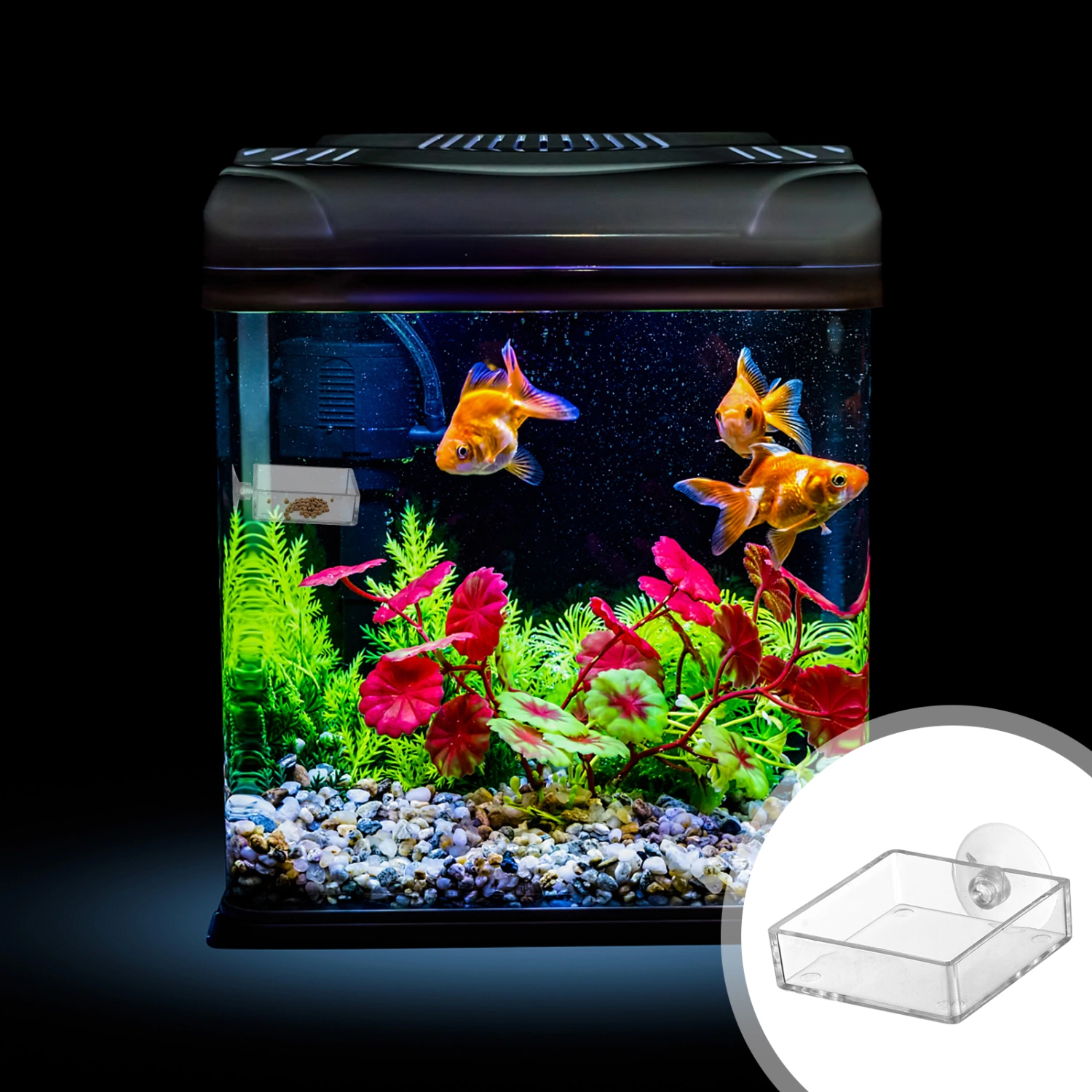 5Pcs Aquarium Feeding Device Shrimp Feeder Fish Tank Feeder with Suction Cup
