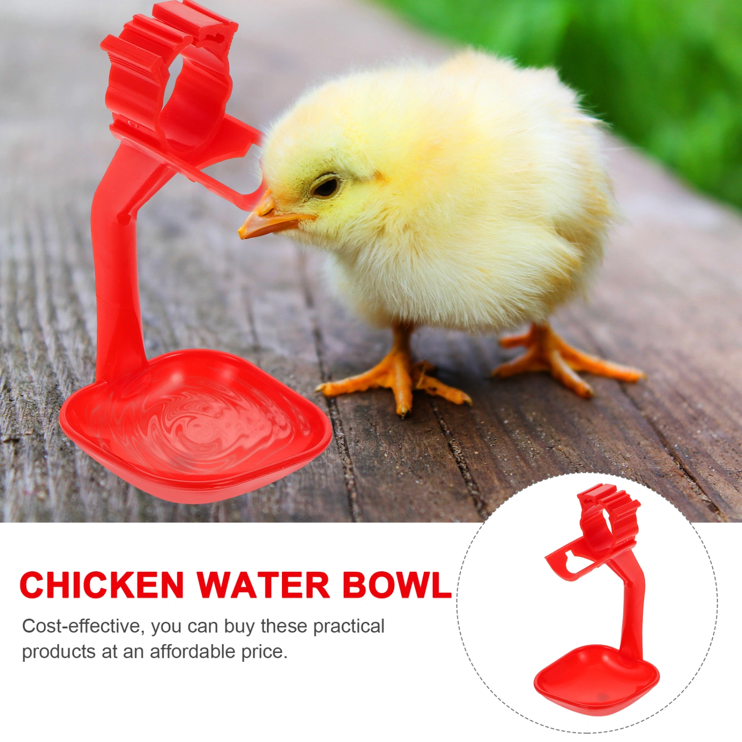 10Pcs Poultry Drinking Bowl Duck Water Dispenser Pigeon Chicken Water Cup