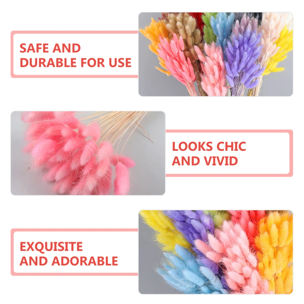 60pcs Bunny Tails Dried Flowers Natural Dried Flowers Wedding Home Decorations