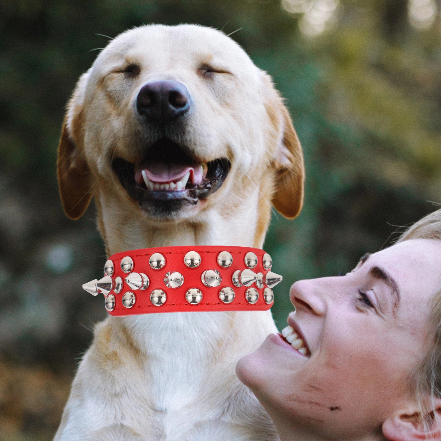Spiked Collar for Dog Studded Rivet Collar Unique Puppy Collar Pet Cosplay Collar for Decor