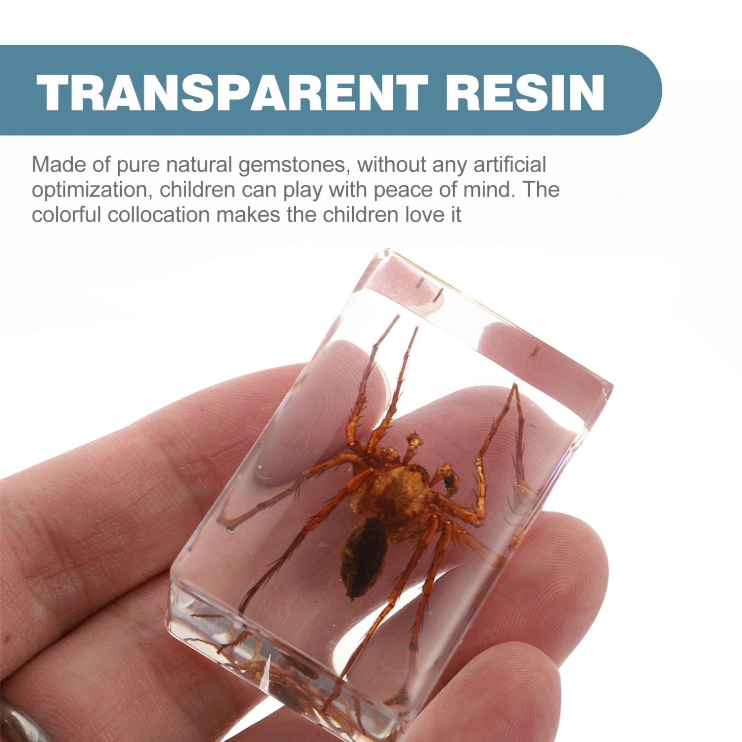 1 Pc Biological Science Education Resin Specimen Tarantula Amber Samples