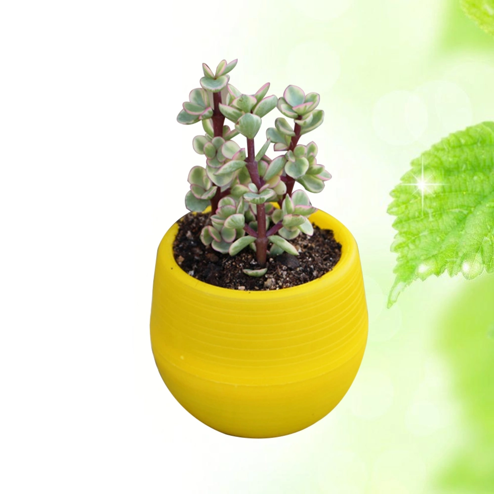 Mini Round Resin Flower Pot Solid Color Planter Home Office Decor for Succulents Cactus (Yellow)