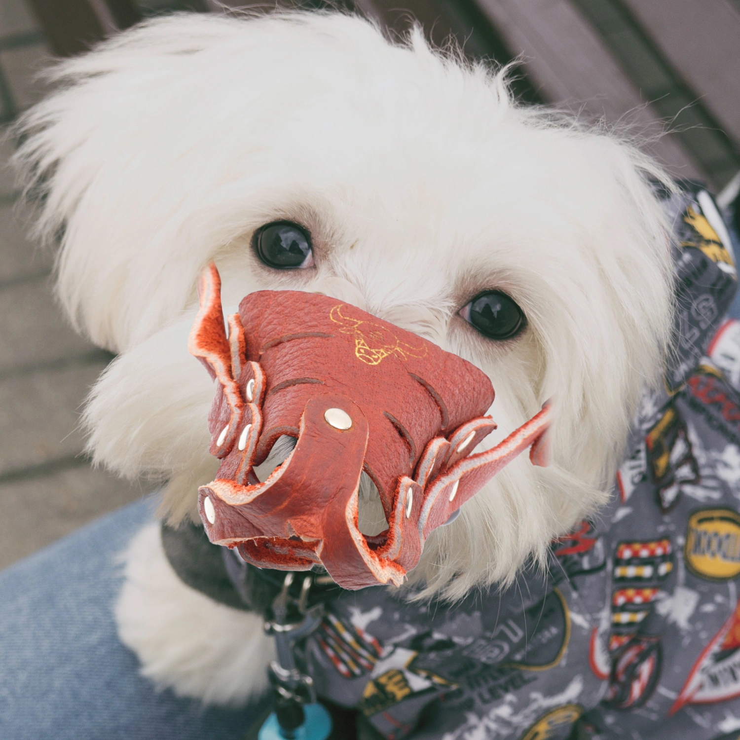 Protective Mask Dog Mouth Cover Dog Mouth Mask Puppy Muzzle Basket Muzzle for Dog