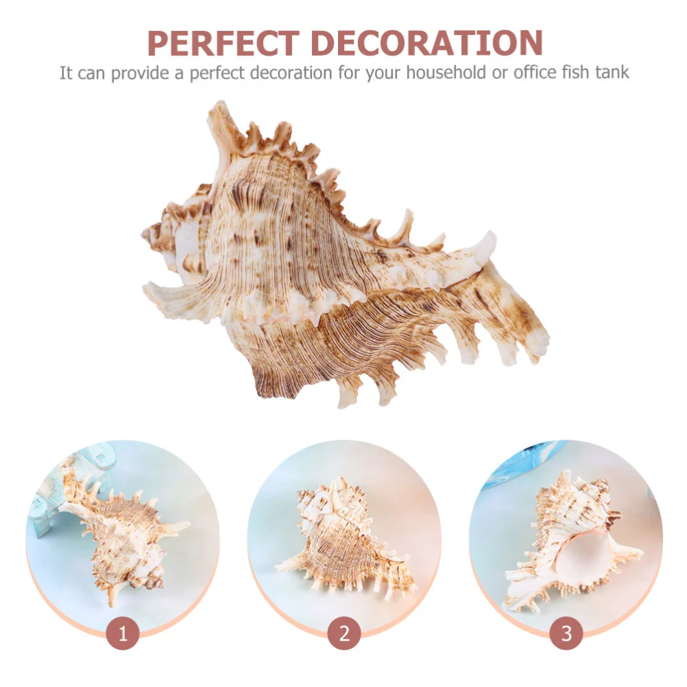 Aquarium Conch Landscaping Decor Natural Conch Decor Fish Tank Seal Snail Flowerpot