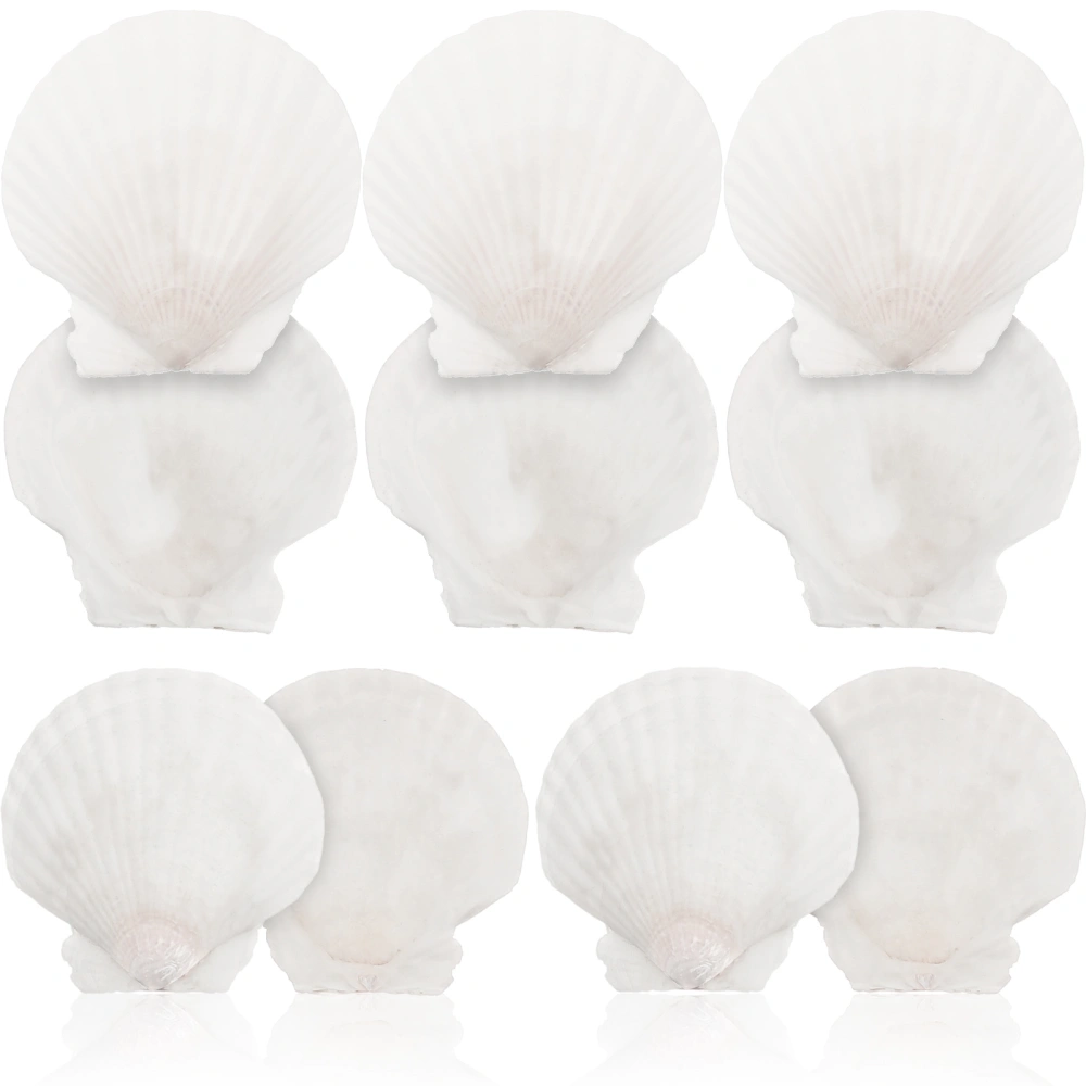 10pcs White Scallops Shell Seashells Large Natural Shell Embellishment Craft Material