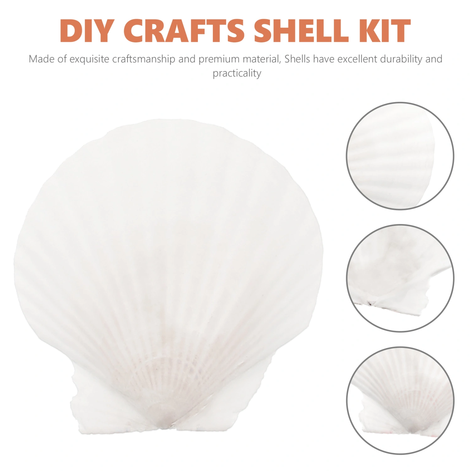 10pcs White Scallops Shell Seashells Large Natural Shell Embellishment Craft Material
