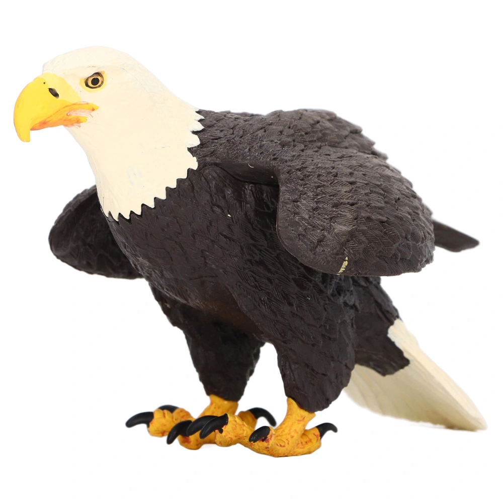 Bald Eagle Ornament Lifelike Hand Painted Educational Props Bald Eagle Decoration