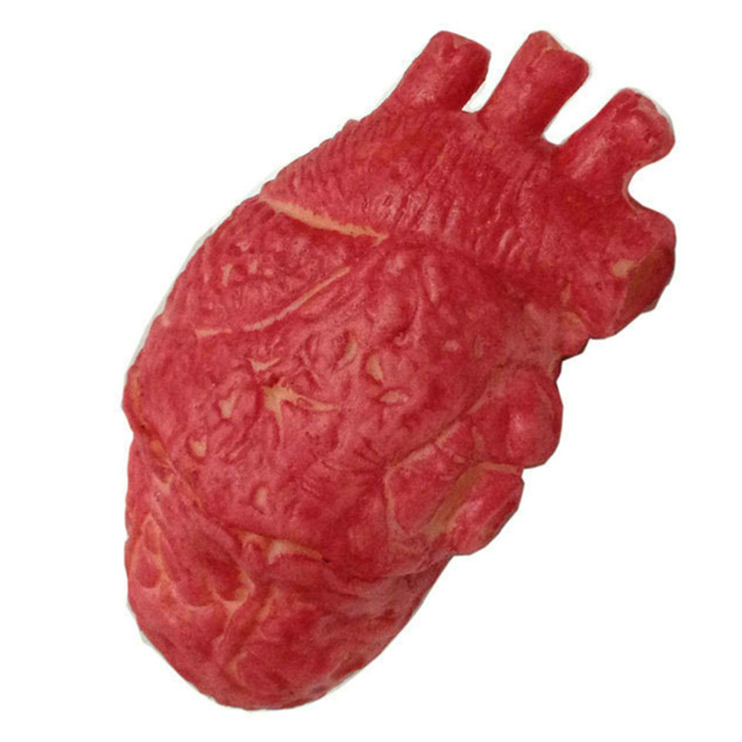Fake Human Heart Latex Life Size Heart Bloody Horror Props for Halloween