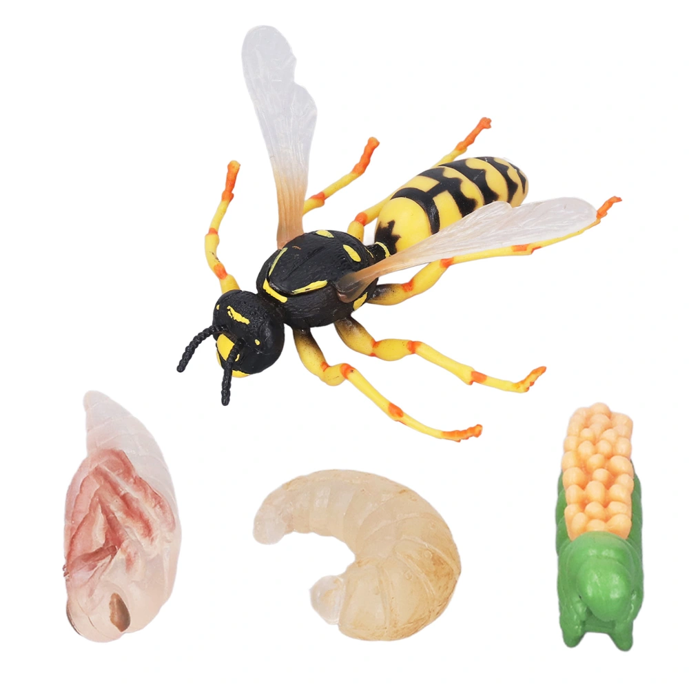 Wasp Bee Growth Cycle Model Early Educational Simulation Insect Animals Model for Kids Gifts