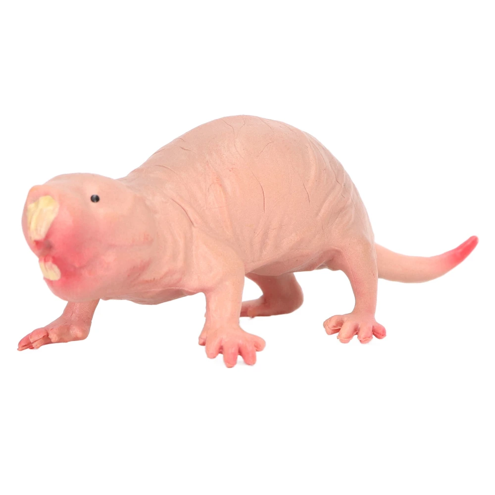 Plastic Mole Figurine Toy Simulation Static Full Core Naked Mole Model for Children Sand Table Ornaments