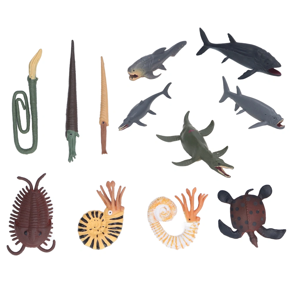 12Pcs Ancient Marine Animal Models Toys Exquisite Vivid Simulation Design Ancient Marine Animal Figures Gifts