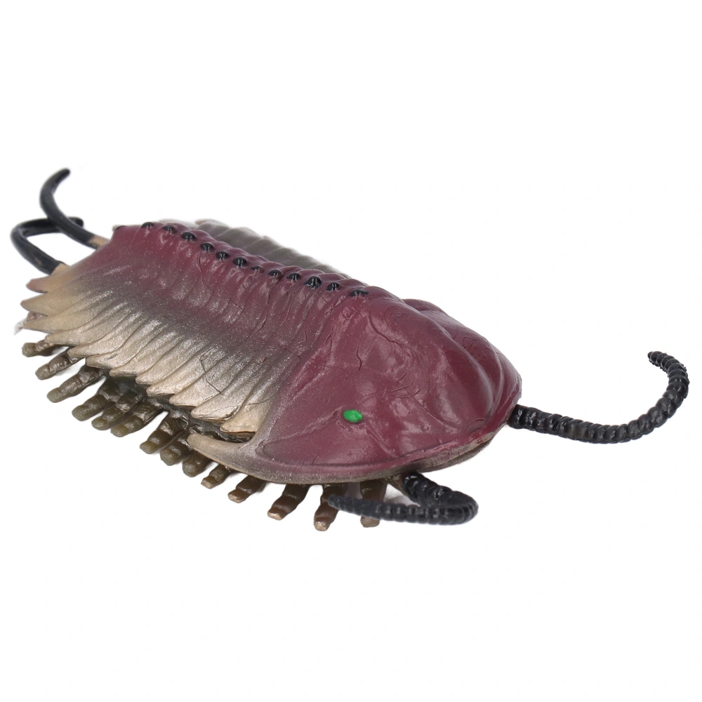 Simulated Trilobite Model Figurine Ancient Marine Animal Figure Educational Toy Birthday Gift for Children