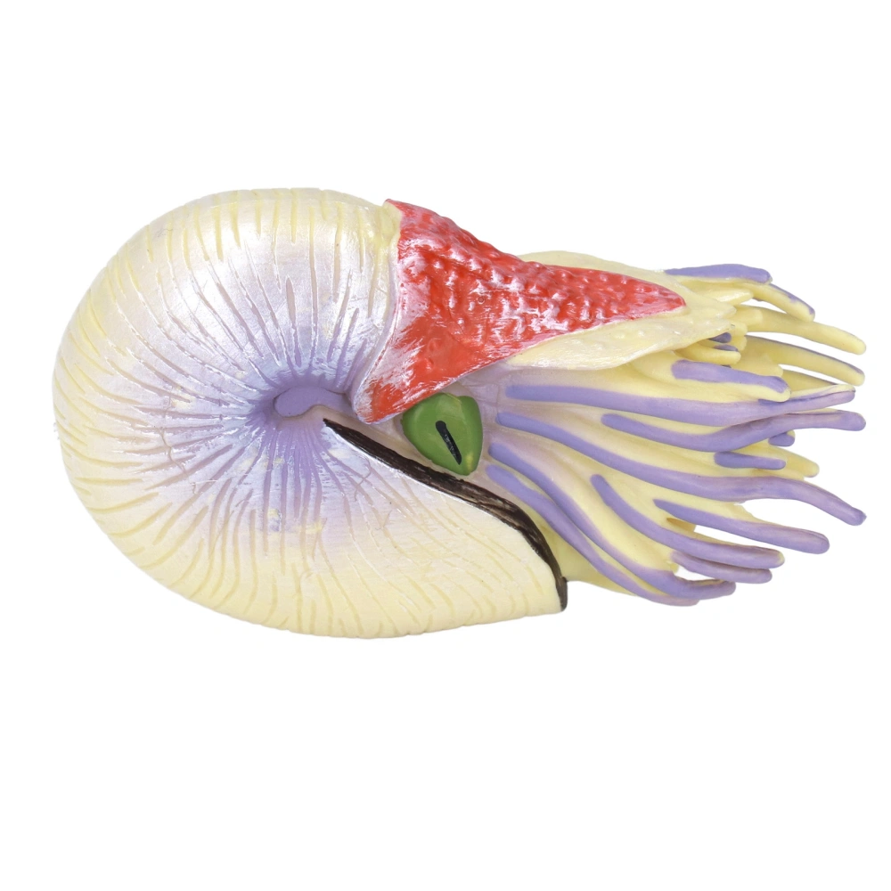 Lifelike Spiral Shell Sea Animal Figures Model Cute Marine Animal Educational Figures