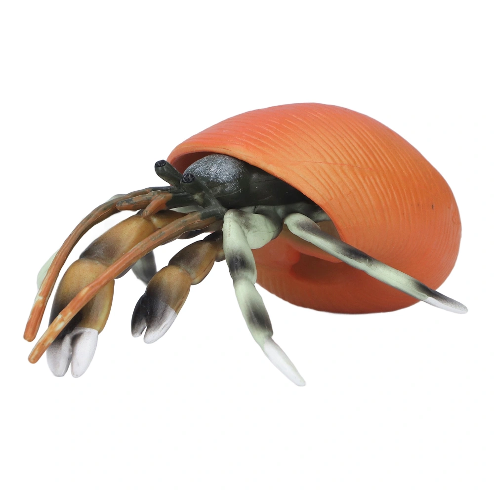 Simulation Hermit Crab Model Lifelike Sea Life Animals Figurines for Collection Science Educational