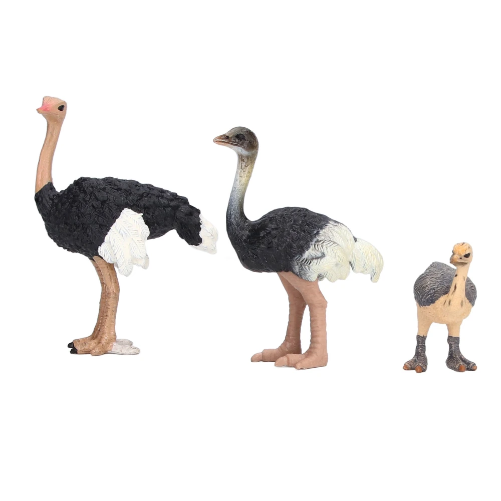 Ostrich Toy Hand Painted Coloring Exquisite Crafts Fine Workmanship Comfortable Grip Animal Figurines