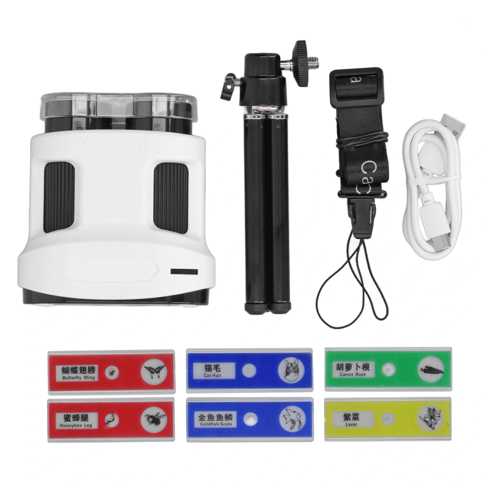 Handheld Dual Lens Microscope Camera with 2in LCD Screen 32G Storage Card Lanyard 6 Specimens Telescope 5‑200X White