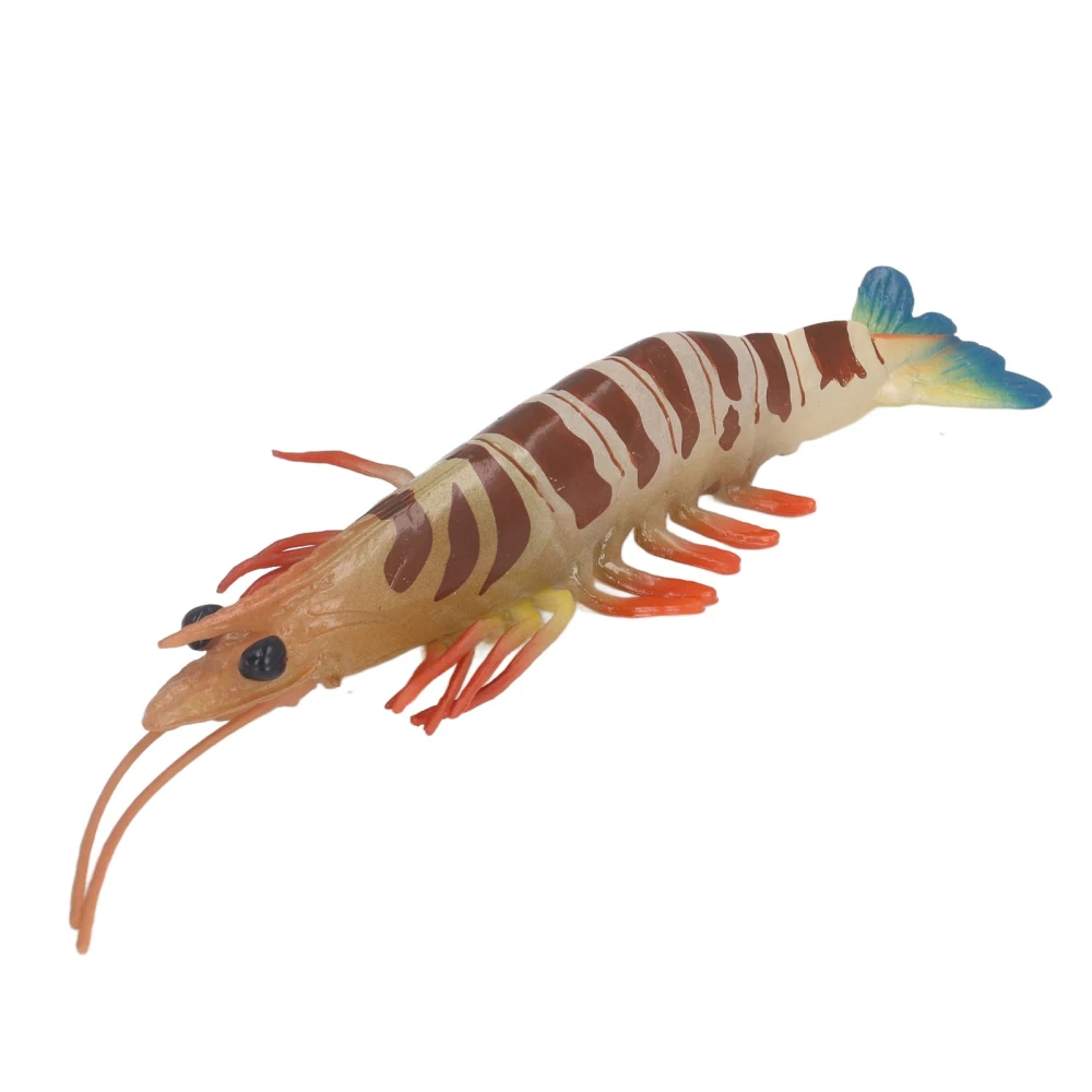 Marine Prawn Animal Model Early Learning Educational Vivid Simulation Home Decoration Sea Animal Toy for Kids