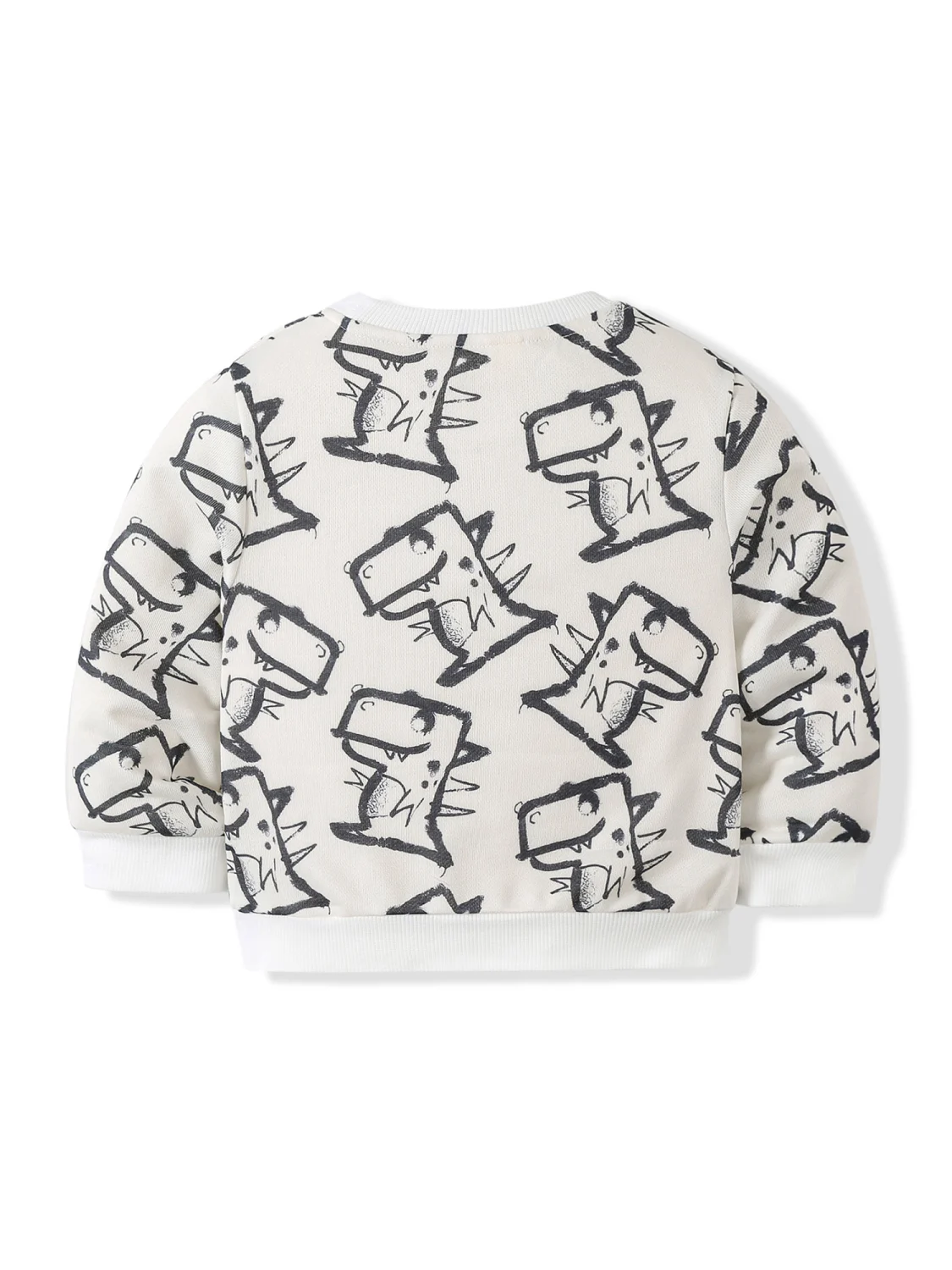 Baby Boy 2Pcs Fall Outfits Dinosaur Graphic Sweatshirt + Pants 