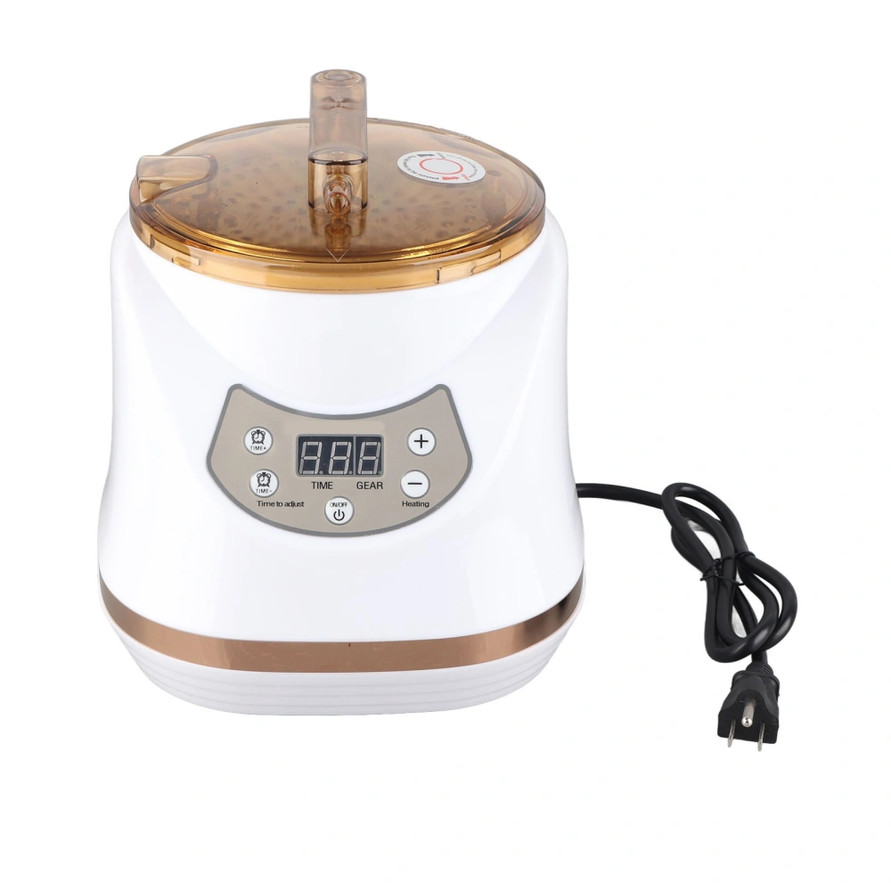 1000W 2L Sauna Steamer Pot Portable Multifunctional Spa Fumigation Machine for Body Detox Weight LossUS Plug 110V