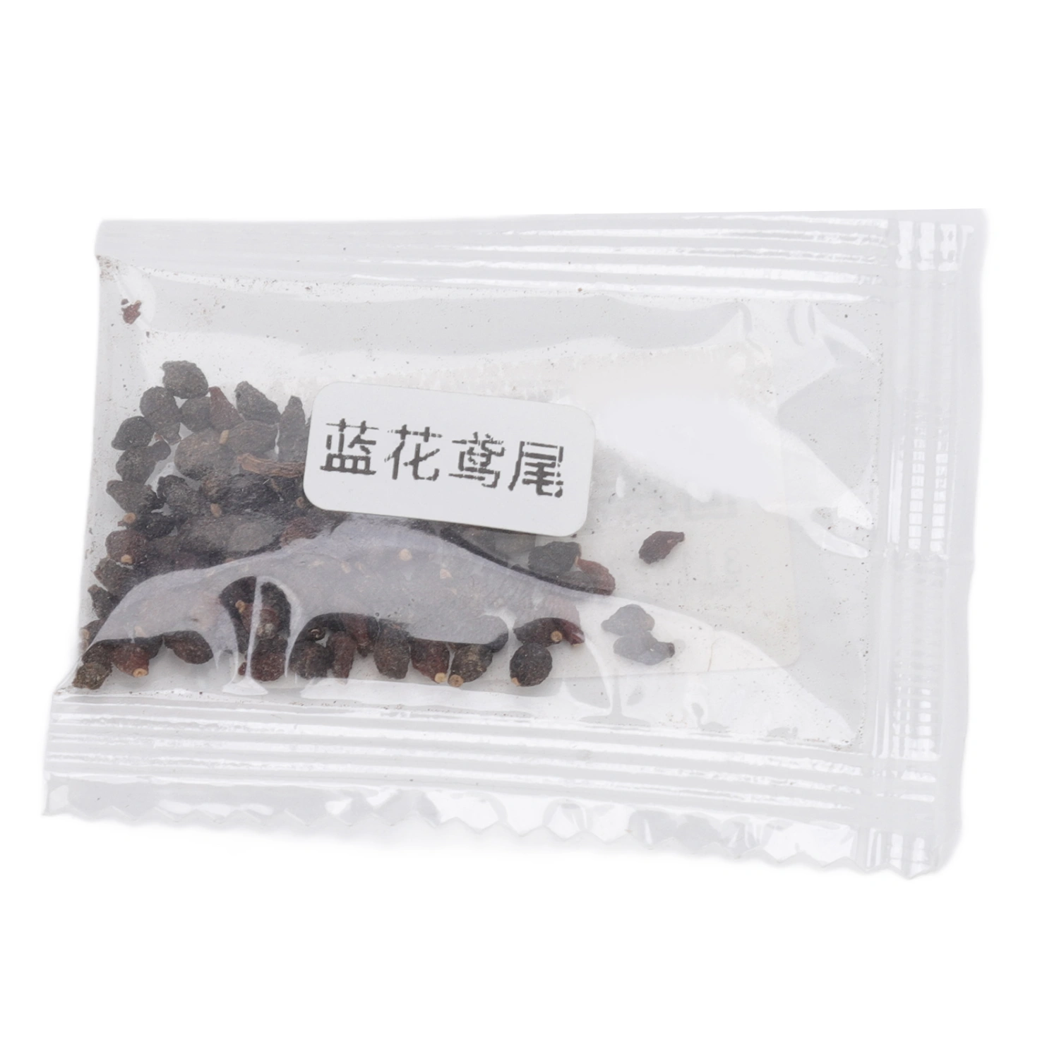50g Blue Iris Seeds Elegant 95% Germination Rate Flower Plants Seeds for Garden Greening Projects