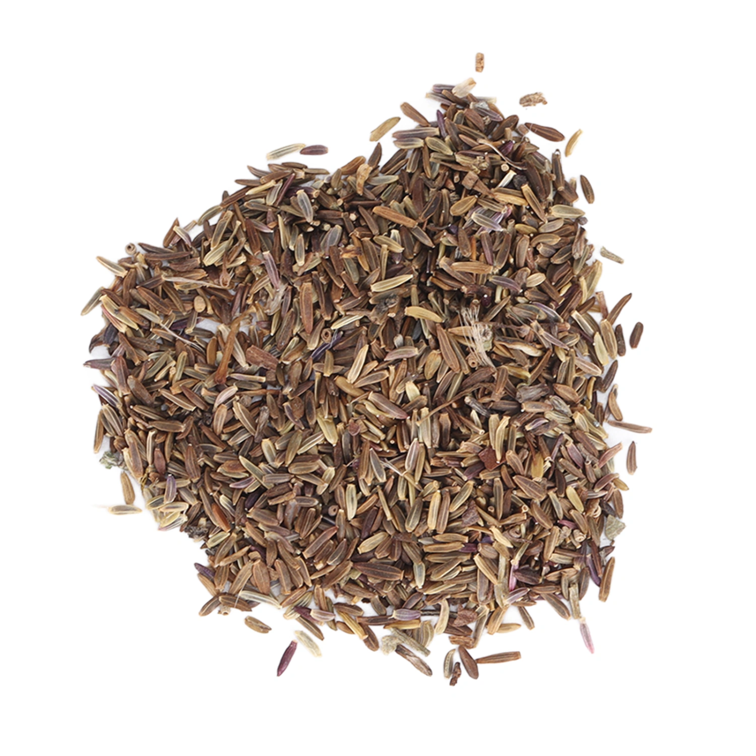 Aster Novi Belgii Seeds 50g High Germination Rate Drought Resistant Symphyotrichum Novi Belgii Seeds for Home Gardening
