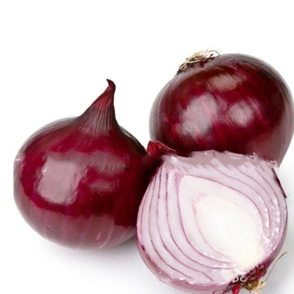 Vegtable Seeds Home Garden Red Onion Seeds DIY Operation Seeds for Backyard Greenhouse