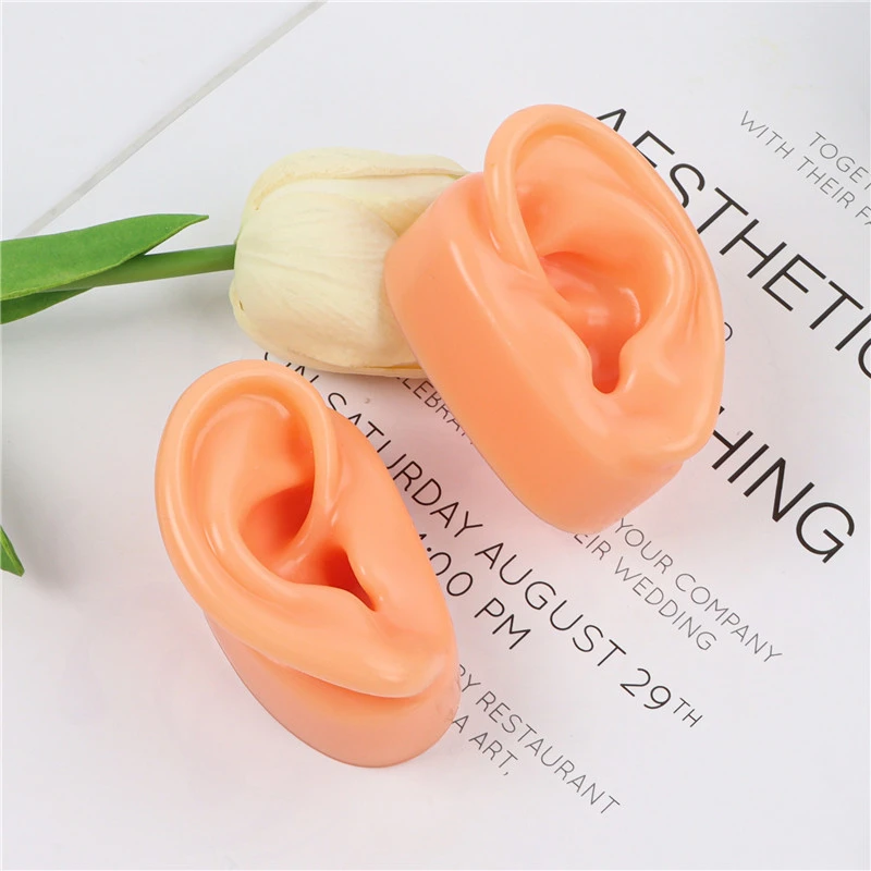 Human Ear Model Simulation Artificial Human Left Ear Silicone Ear Model Prank Prop