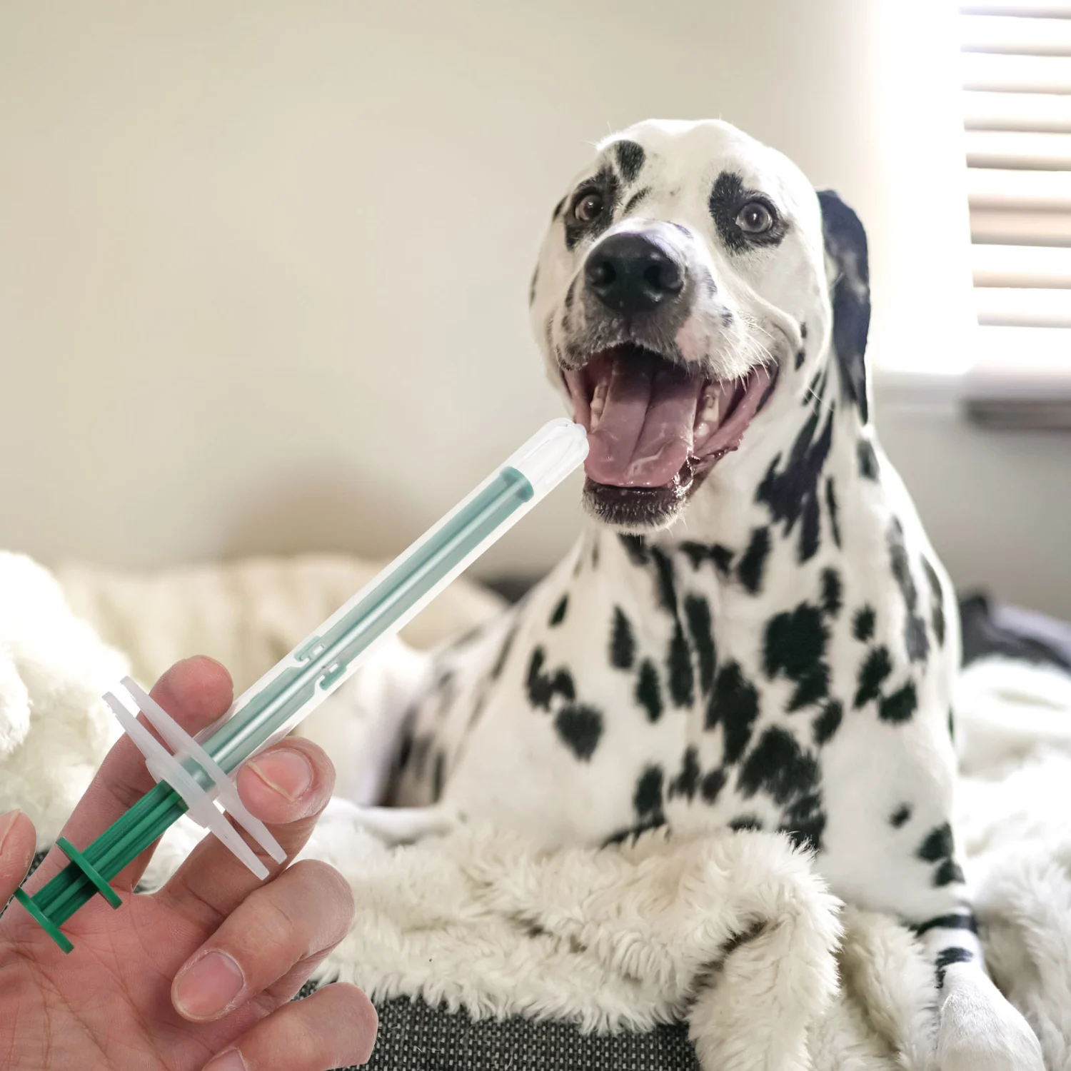 2 Sets of Pet Medicine Feeders Pet Pill Feed Tools Pet Medicine Feeders