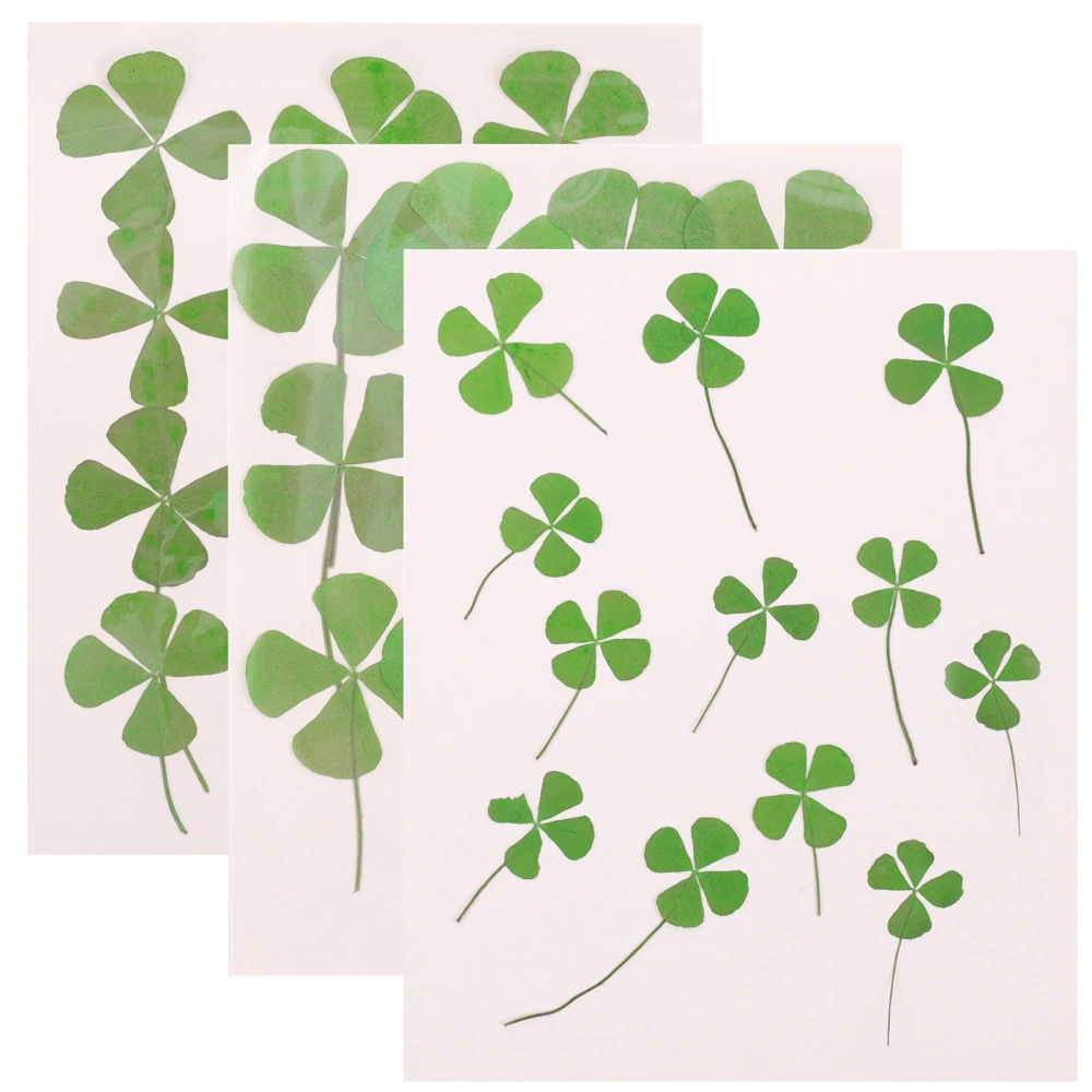 36pcs Dried Pressed Four Leaf Clover Art Crafts DIY Materials Scrapbooking DIY Plants