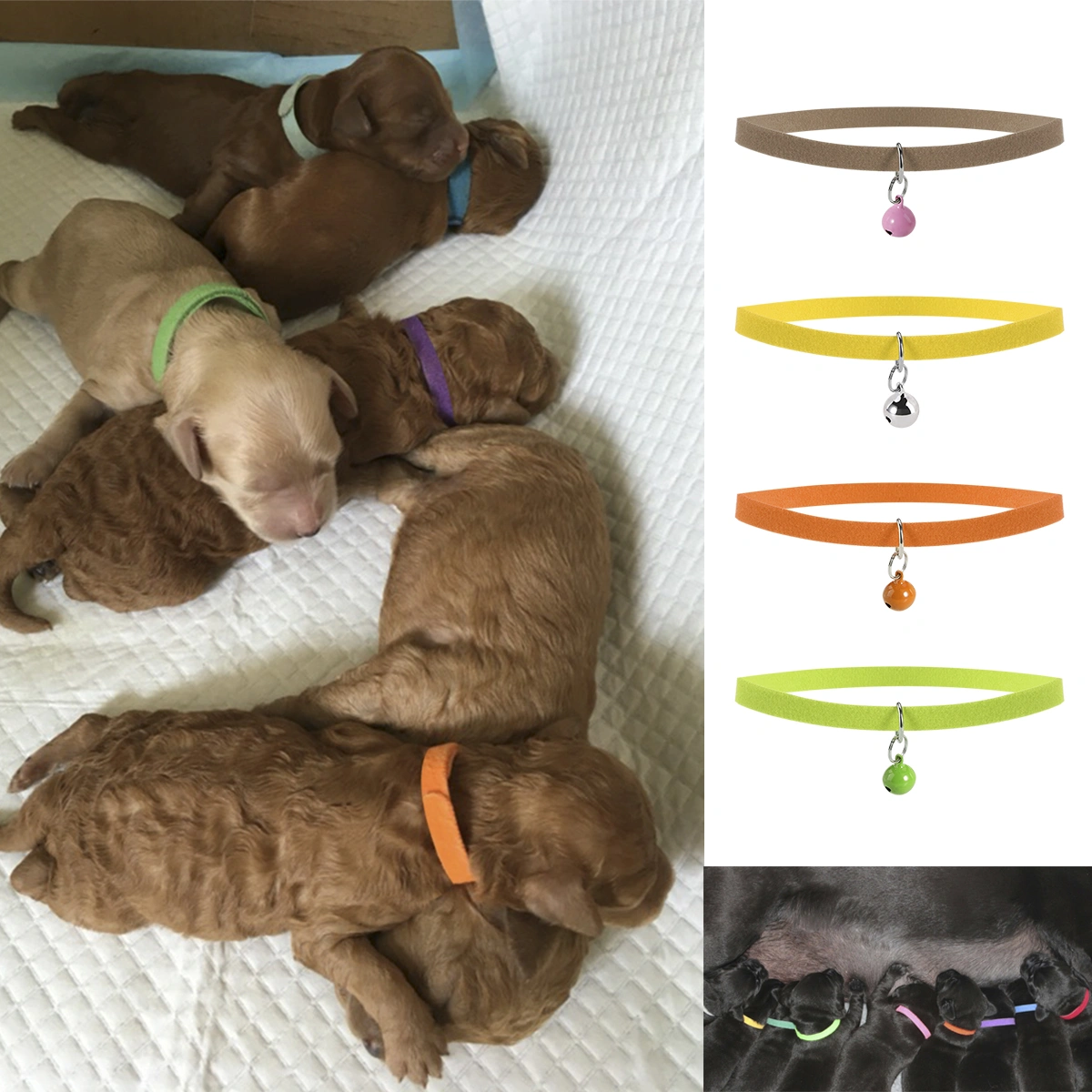 UEETEK 12 Colors 20*1cm Adjustable Puppy ID Bands Collars Double Side Super Plush Dog Collars