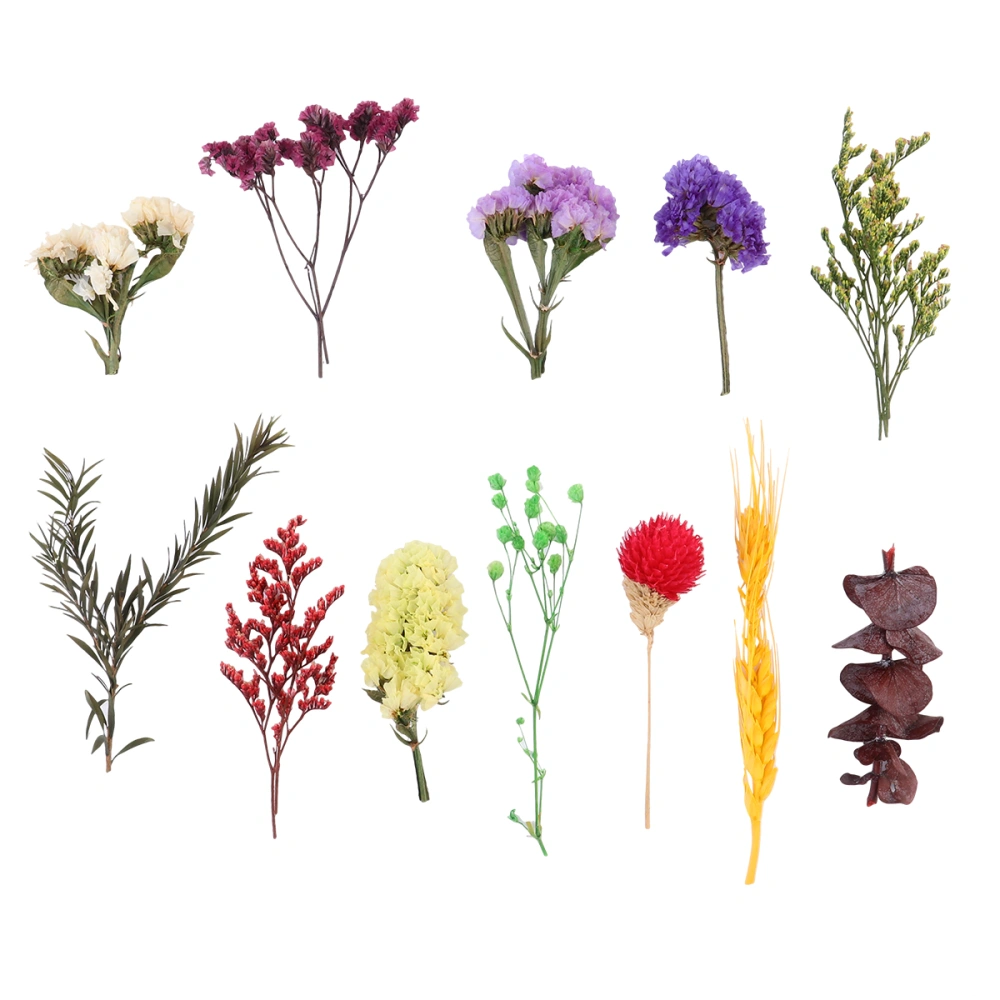 1 Box DIY Pressed Dried Flowers Practical Flower Materials Multiple Real Dried Flowers Plants Specimen for Home Woman Girls (Random Color, Random Style)