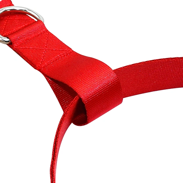 Hands Free Waist Pet Leash Durable Dog Lead for Pets Running Hiking Jogging Waking (Red)