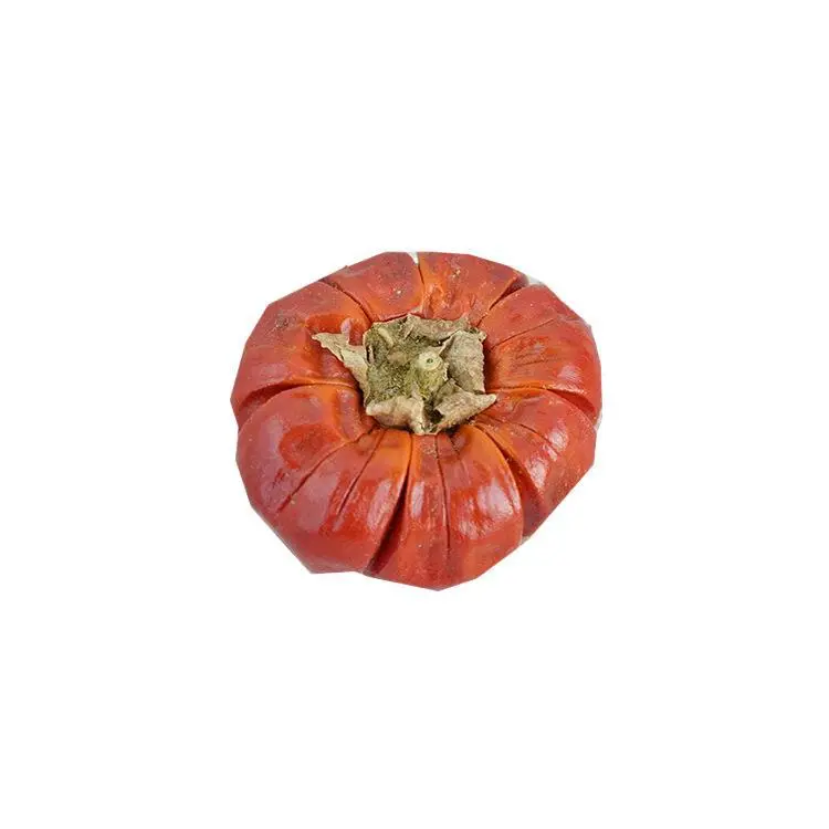 Halloween Pumpkin Decoration Dried Flower Pumpkin Model Pumpkin Prop Party Favor