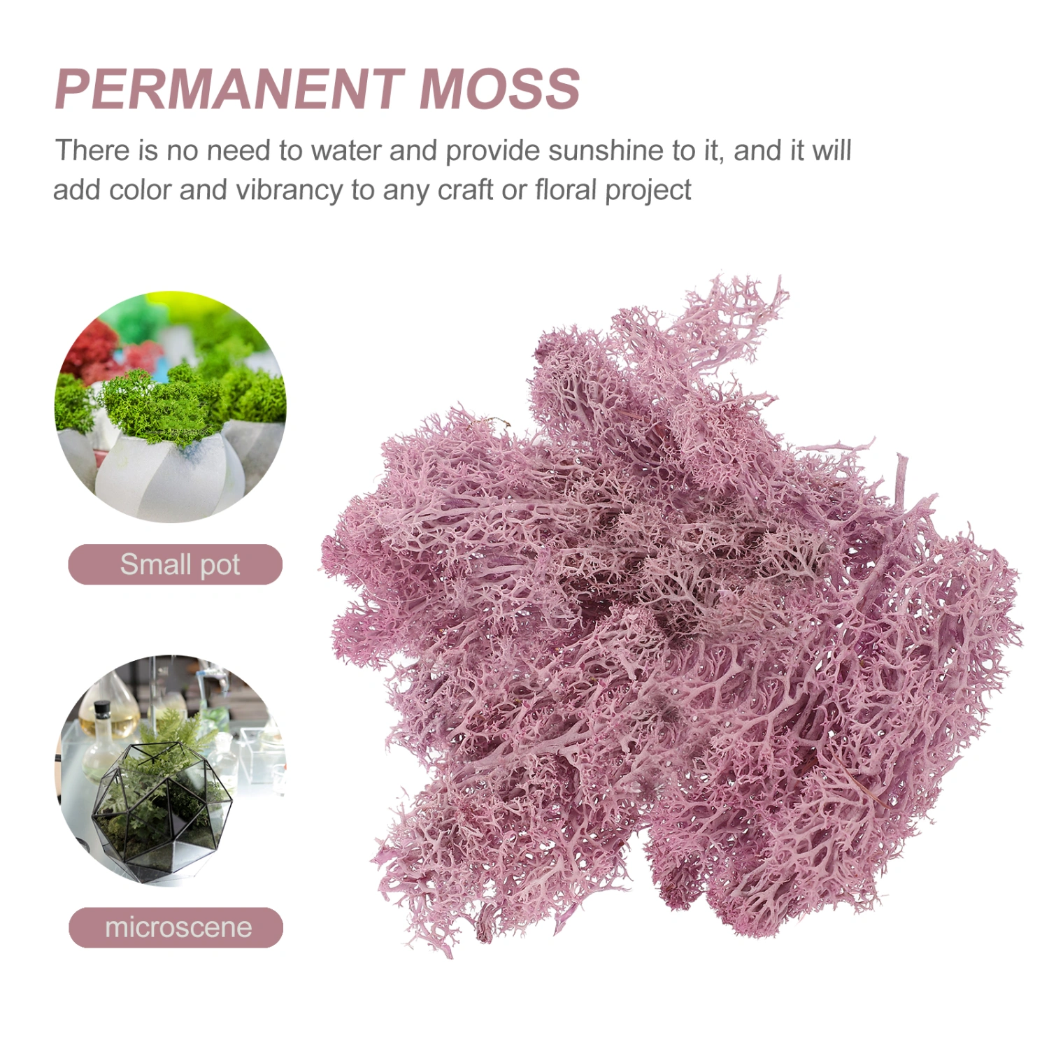 1 Bag Preserved Moss Colored Moss for Moss Crafts Artistic Decoration Moss Home Decor
