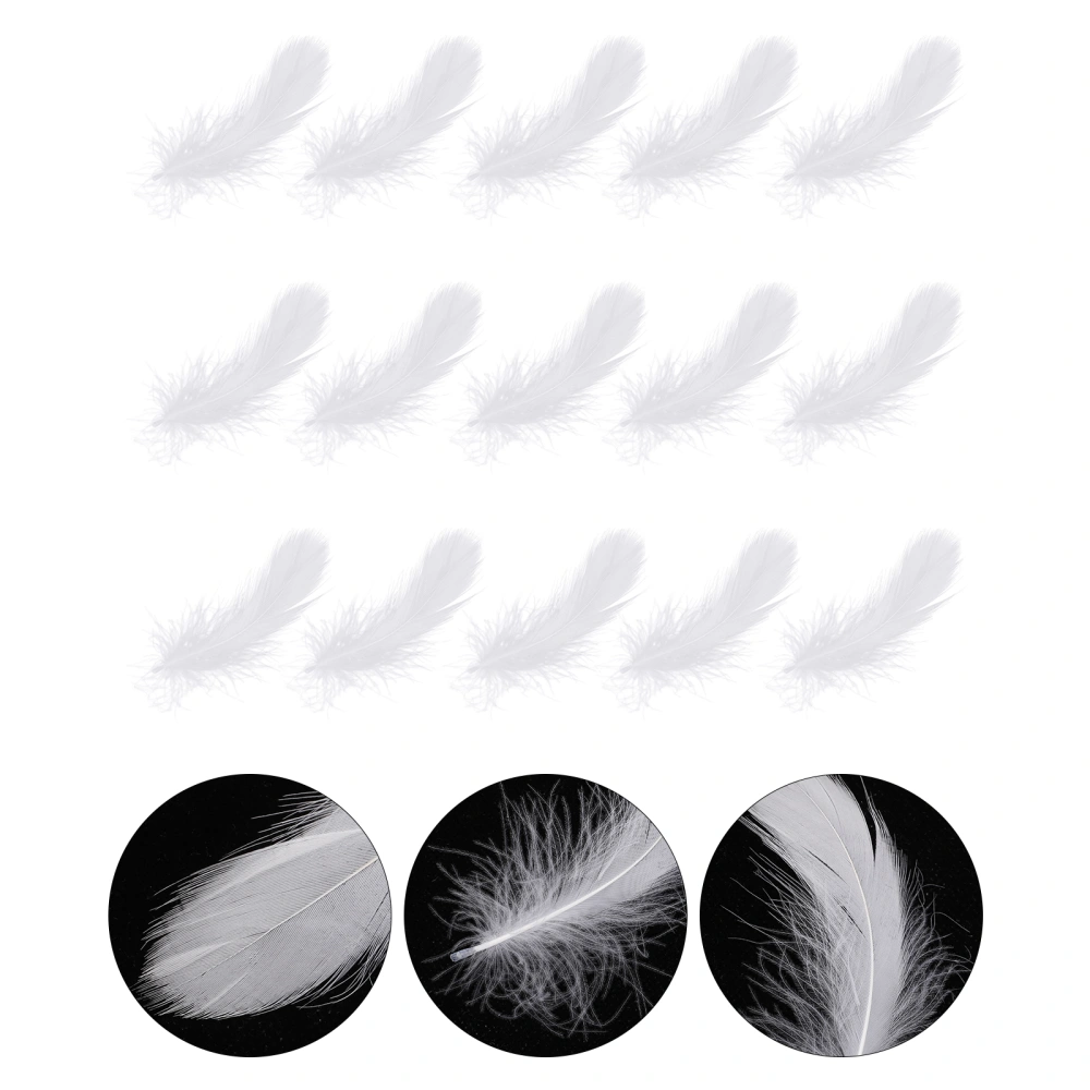 200Pcs Exquisite Feathers Props Wedding Swan Feathers Home Decorations